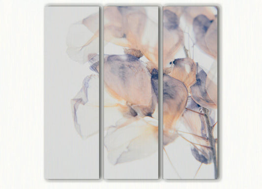 Fiore - Akoestisch Drieluik - NoviSono