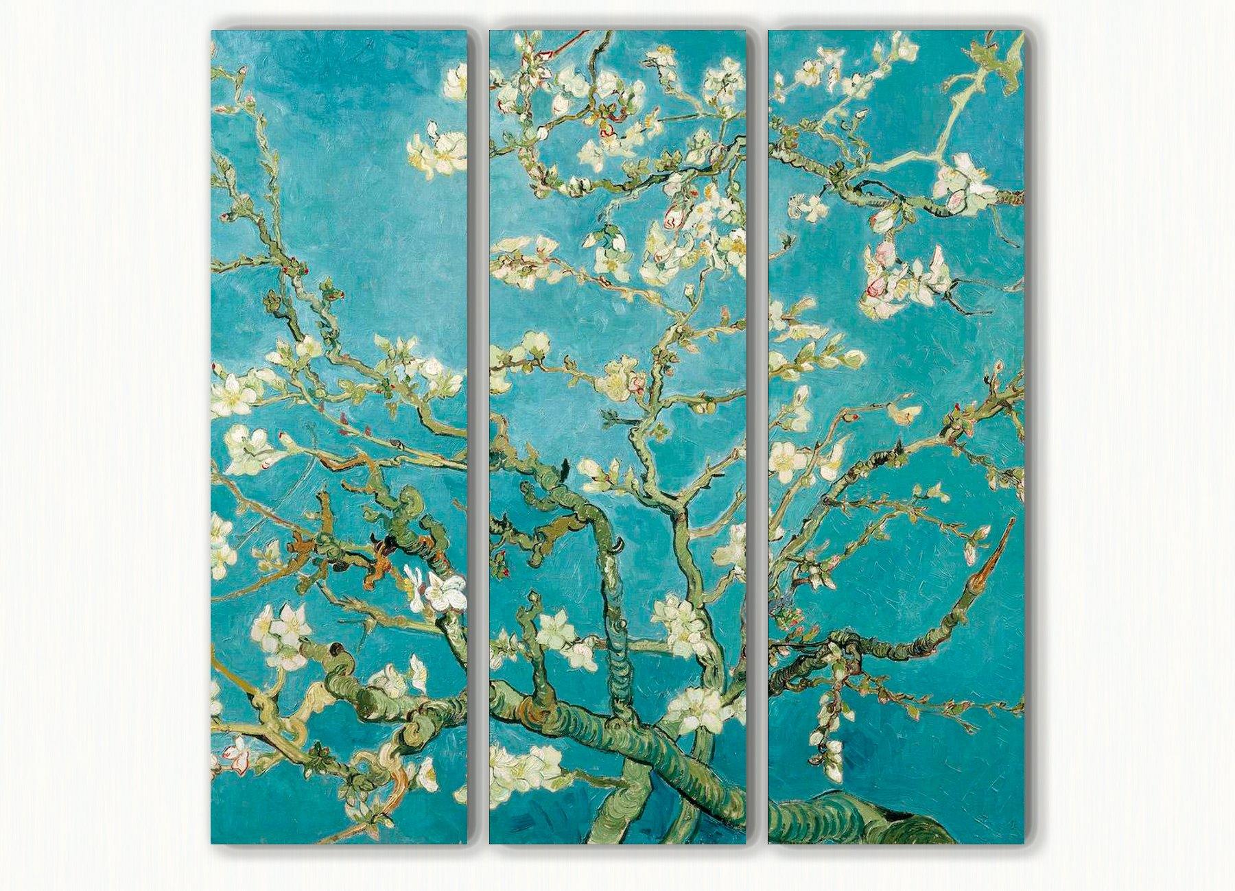 Amandelbloesem - Akoestisch Drieluik - NoviSono