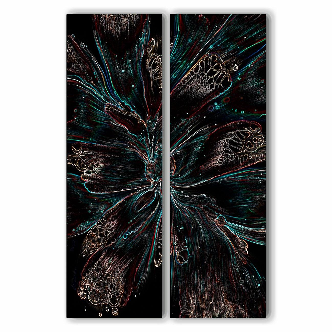 Elfin - Akoestisch Tweeluik - NoviSono