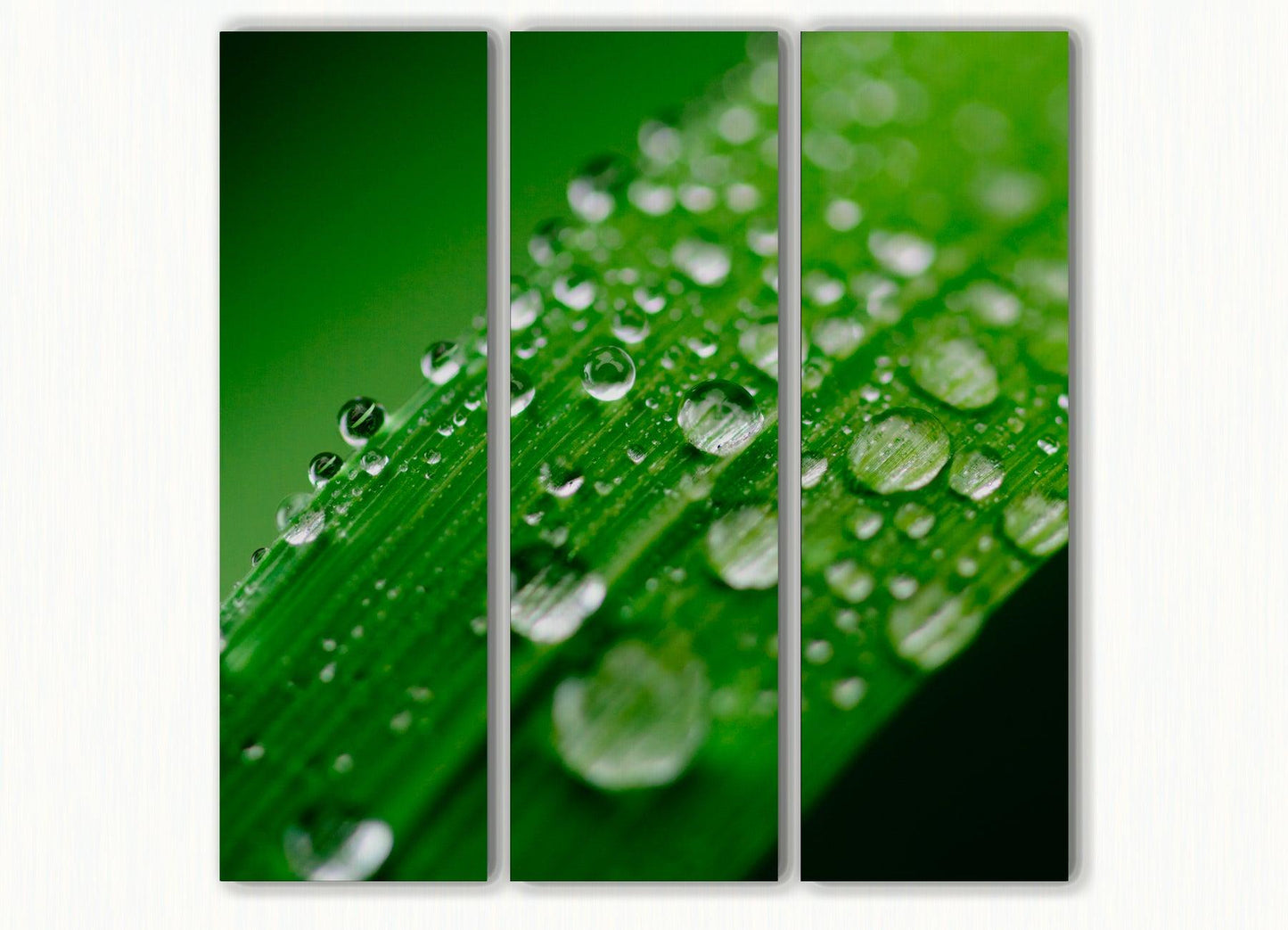 Alba - Akoestisch Drieluik - NoviSono