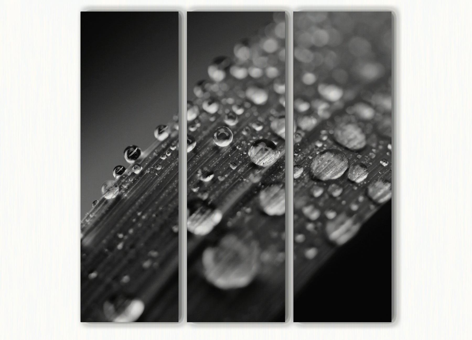 Alba - Akoestisch Drieluik - NoviSono