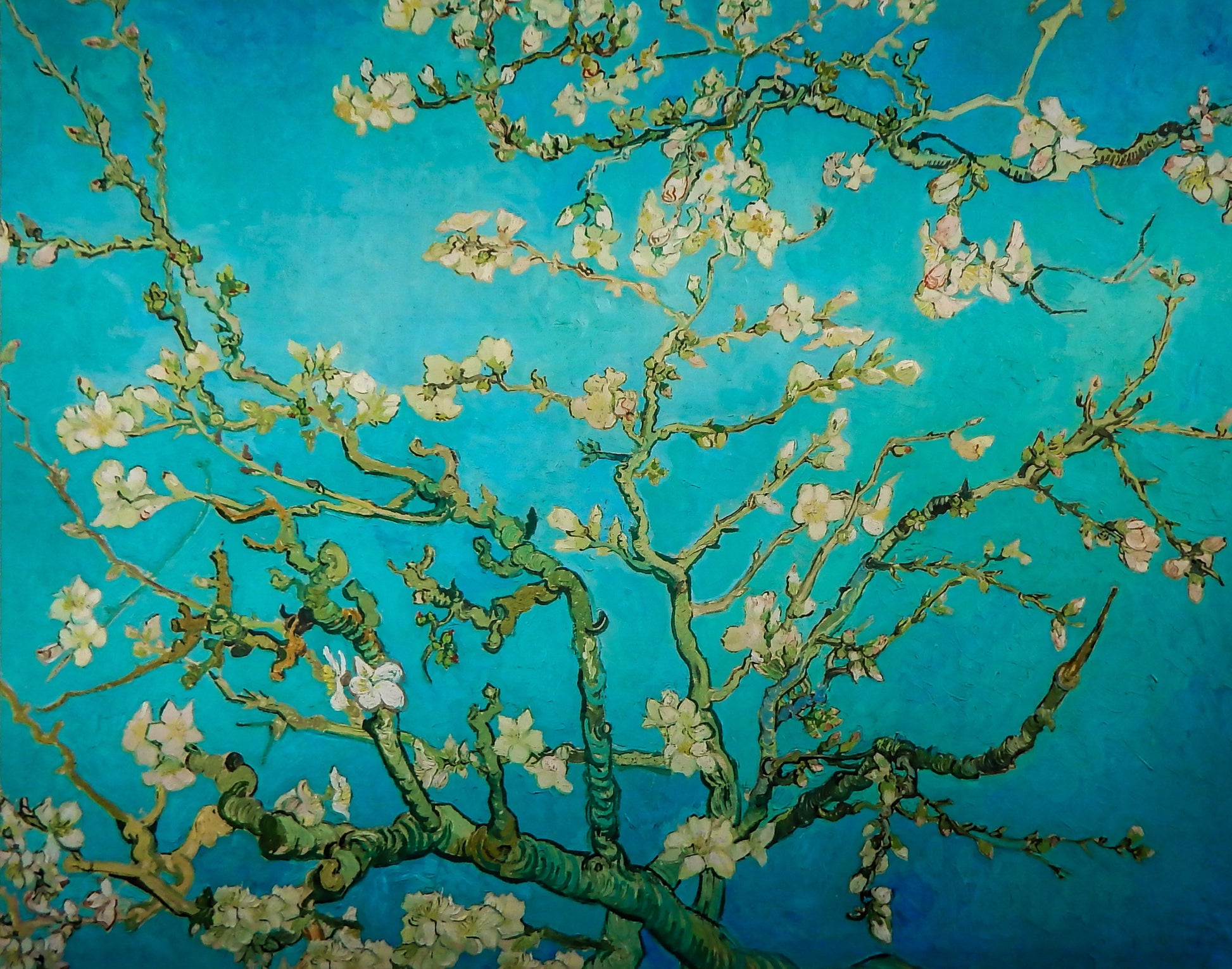 Akoestisch wandpaneel Amandelbloesem van Gogh